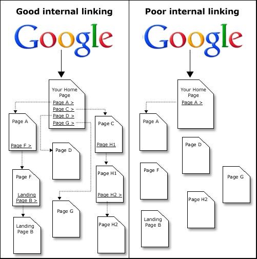 A good internal linking structure has many connections between different pages