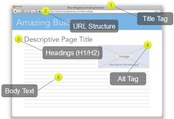 The overview of a page and it's structure